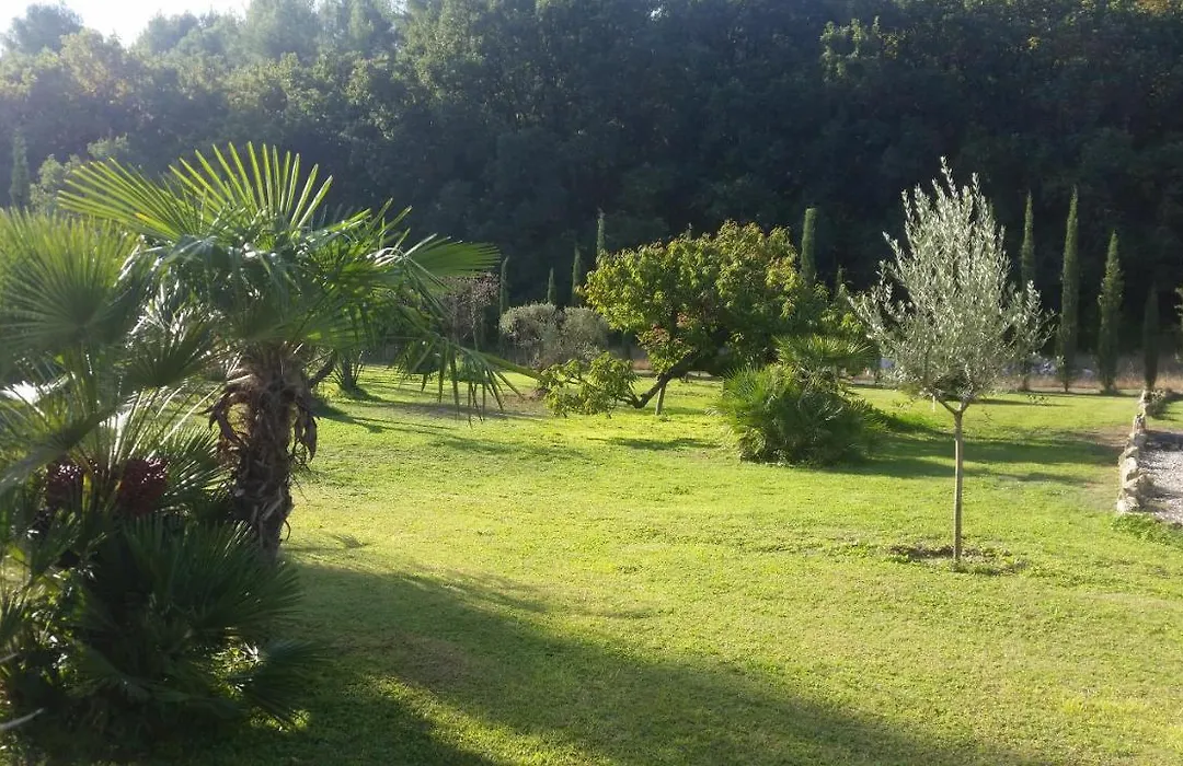 Provence-1